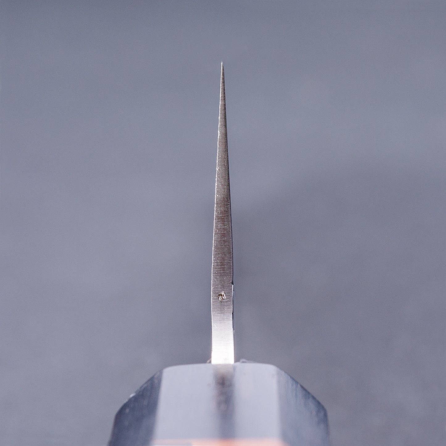 堺孝行　SG2 ダマスカス　和牛刀　210㎜