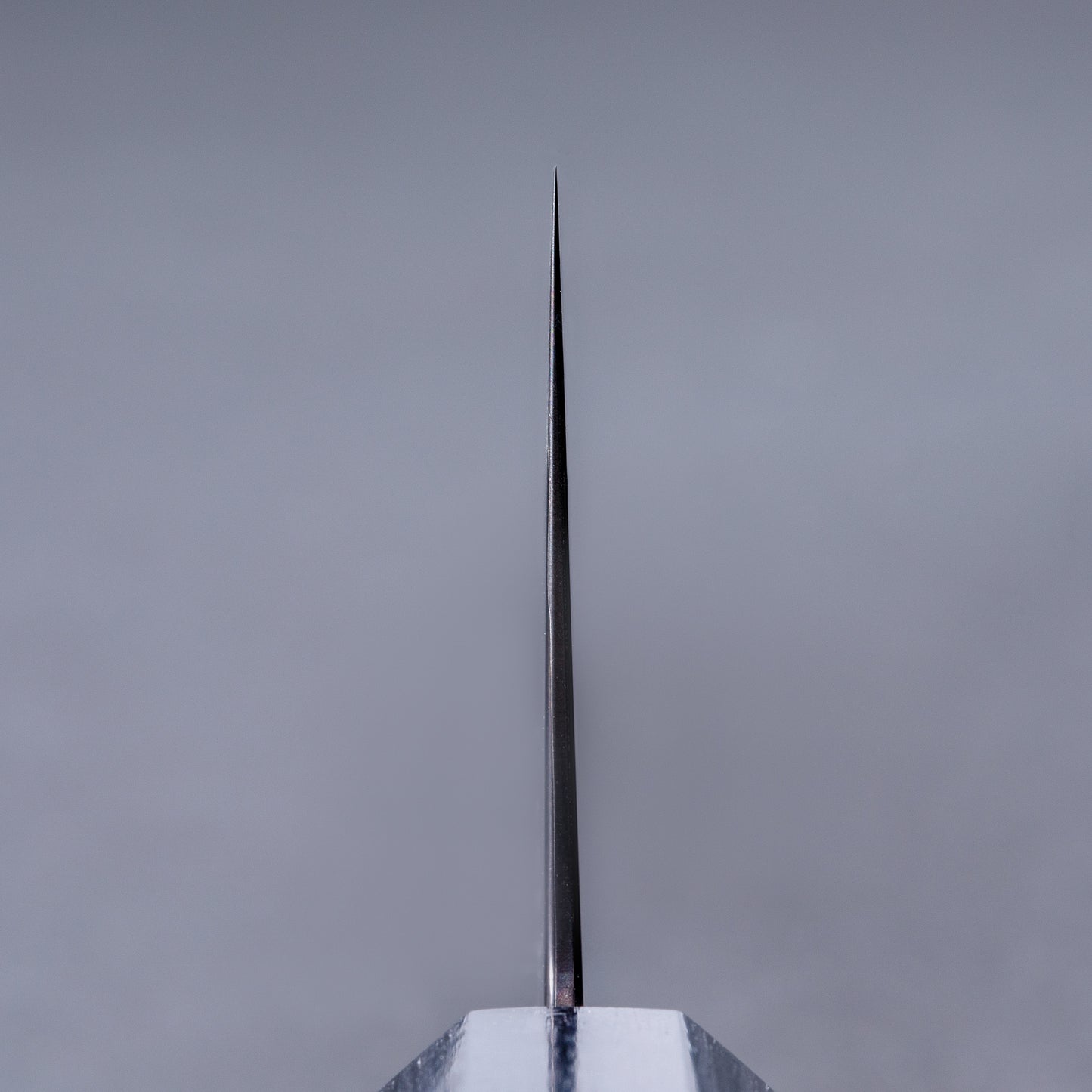 景清　VG10　ダマスカス黒染　ウォールナット　和切付牛刀