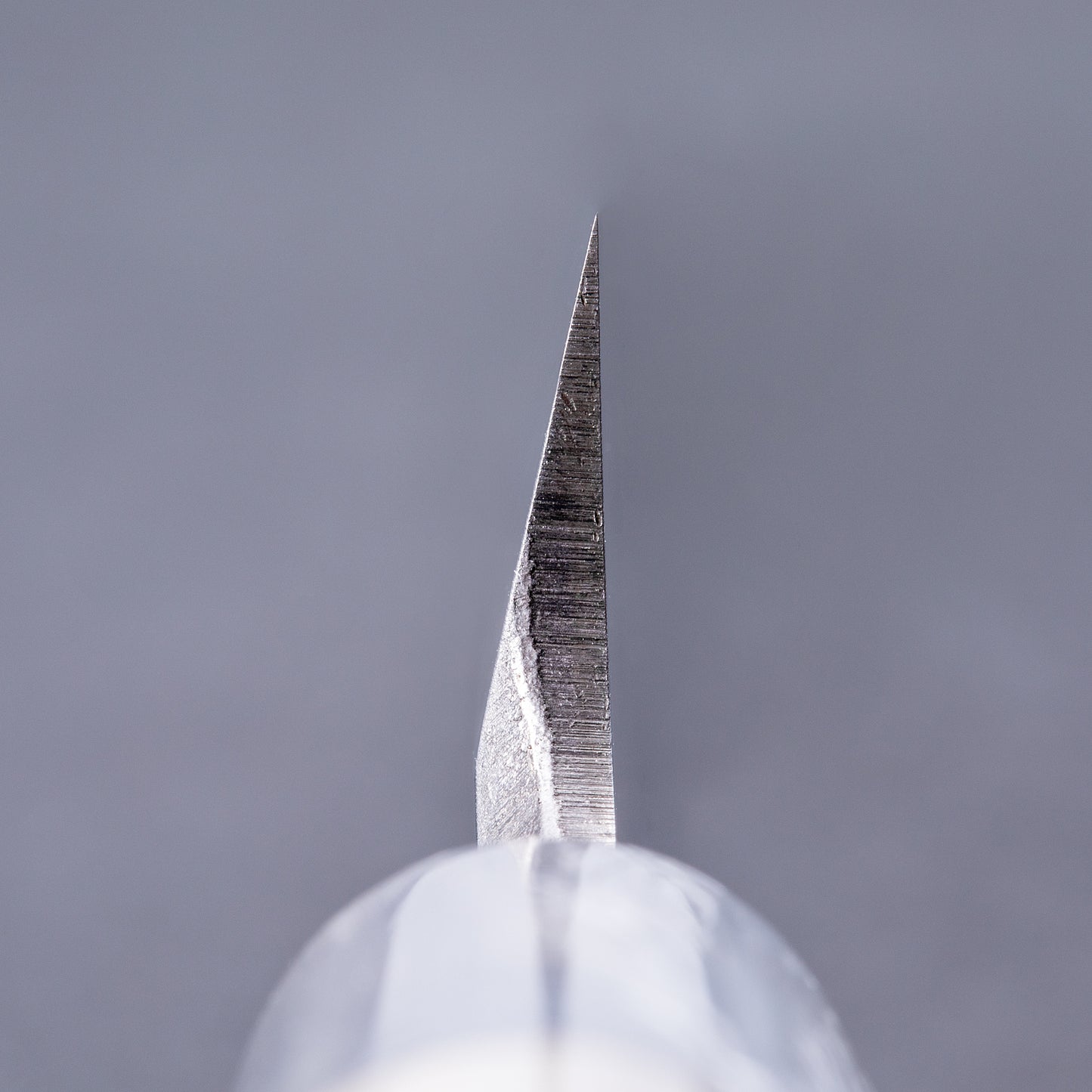 酔心　白ニ鋼　本霞　柳刃240㎜