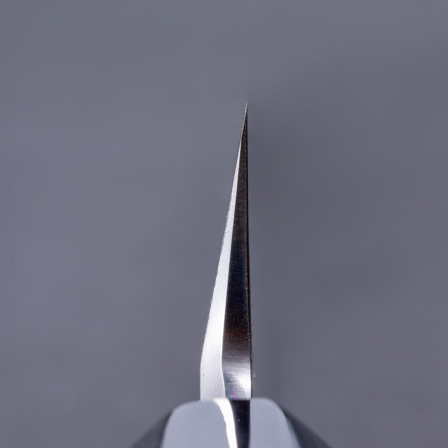 郷右馬允義弘　青一墨流　柳切付　270㎜