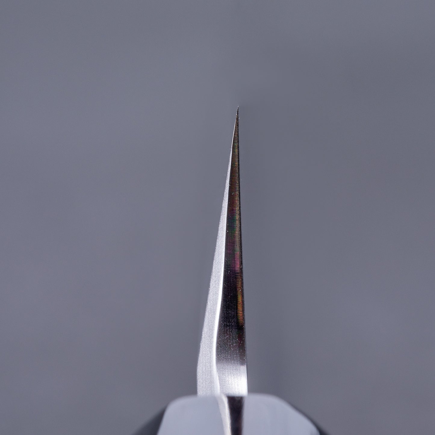 郷右馬允義弘　青一墨流　先丸タコ引　270㎜