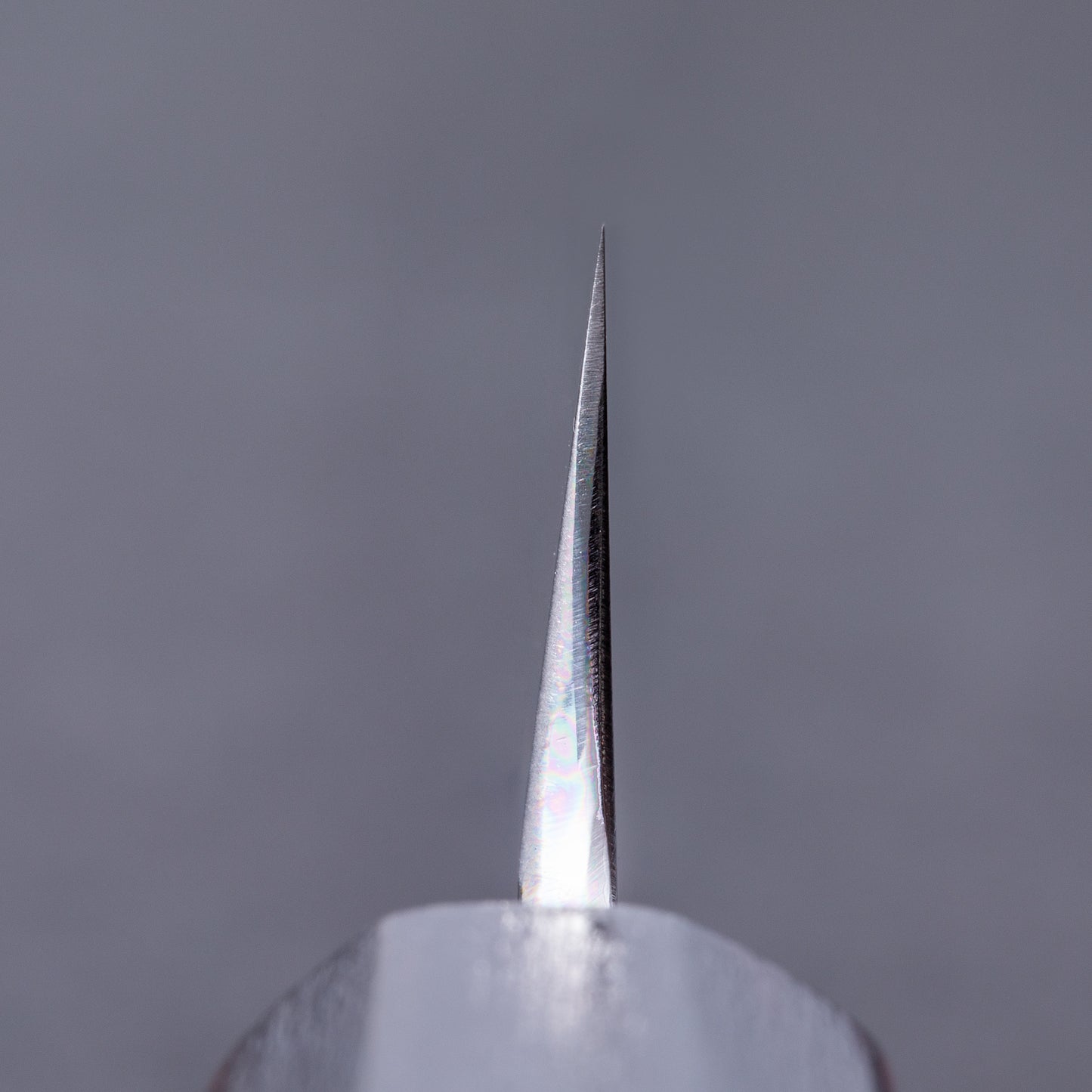 景清　白一鋼　先丸タコ引　270㎜　赤呂柄